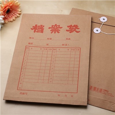 晨光(M&G) APYRAB13 文件袋 1個裝A4/2.7cm 牛皮紙檔案袋 經濟款文件袋資料袋 標書合同文件整理收納袋